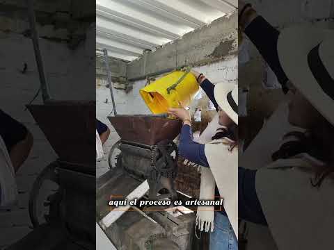 15 de octubre de 2025