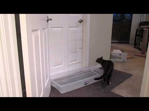 Anteprima Video Ecco come il gatto Mulder apre le porte di casa