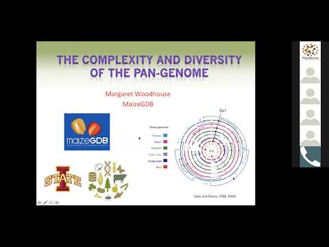 Pan-Genomes (Nov 2018)
