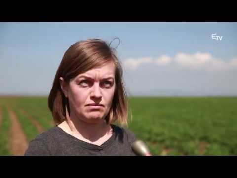 Tájkép: mezőgazdasági műsor – 2016. június 6.