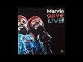 Marvin Gaye  Thanks To The Orchestra