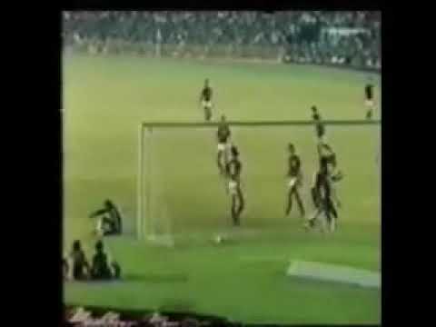 Botafogo 2-2 Flamengo(Campeonato Carioca Especial 1979)