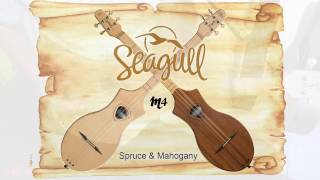 SEAGULL M4 (Merlin) Spruce 2 - Omid Bahadori - MUSIC CORNER TV