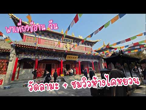 พาชมวัดลามะ และวิวมุมสูงของเมืองซีอานส่งท้ายวันกลับ l เที่ยวซีอาน จีน Day 6