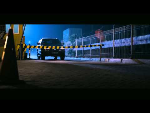 afbeelding Pirate Brothers