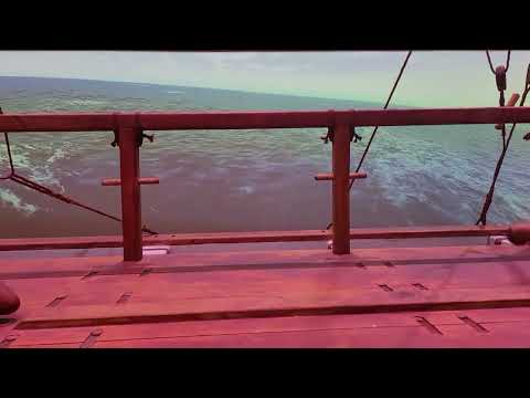 Thumbnail for A TRUE WORK OF ART #tepapamuseum  #cruiseexperiences