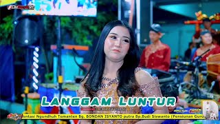 Download lagu Langgam Luntur LALA ATILA • Supra Nada • Cae Bendo Sfc • Cadaz Audio mp3