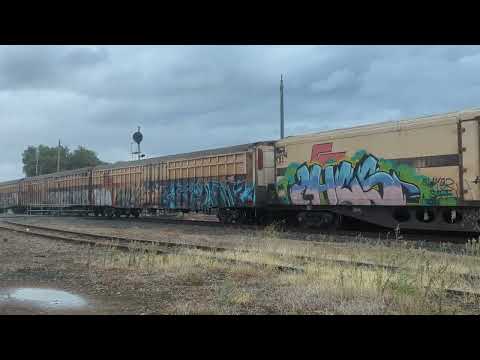 6PM9 SCT Logistics Grey Ghost to Melbourne, 2/4/24 Stawell