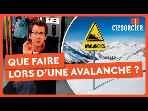 C'est pas sorcier and Le Monde De Jamy - France Télévisions