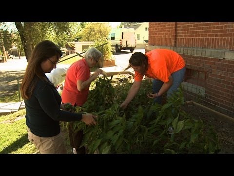 Seeds of Hope (MU Extension)