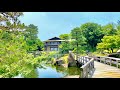 4K Japan Walk - Beautiful Japanese Garden in Nagoya (Tokugawaen) | Koi Fish | Nagoya Summer 2021