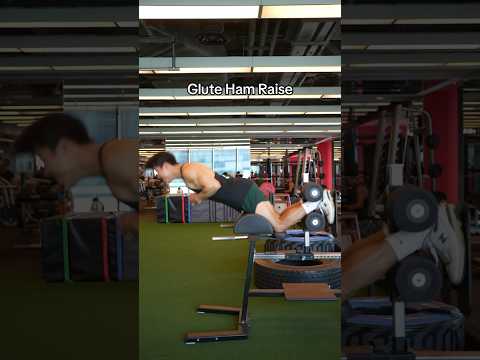 How to use the GLUTE HAM RAISE