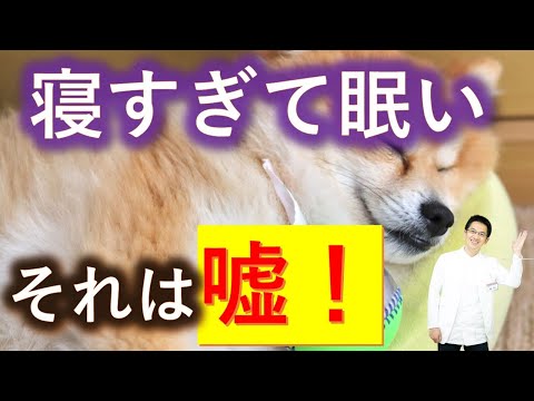 素晴らしいトリック: 寝る前にコーヒーを飲むべきなのはこれが理由です