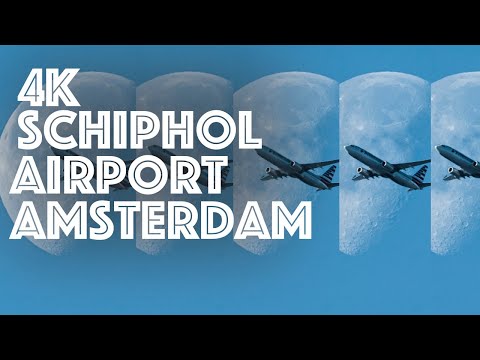 4K Airport Tour : Amsterdam Airport Schiphol : The Netherlands (Koninklijke Luchthaven) : Walk 242