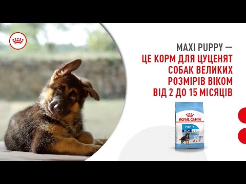 Корм для цуценят собак великих розмірів віком від 2 до 15 місяців.