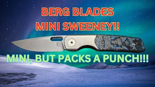 Unleashing Precision: Berg Blades - Mini Sweeney