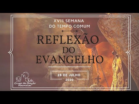 Reflexão do Evangelho do dia 28/07/2020. Mt 13, 36-43