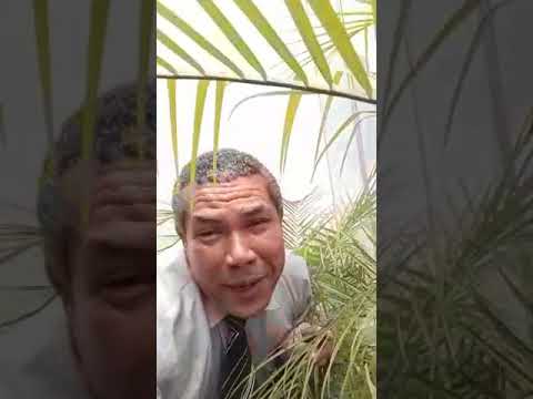 Dupla de ladrões presa pela PM