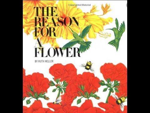 Read Aloud: A Reason for A Flower