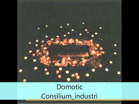 Domotic - Bye Bye - Consilium_industri