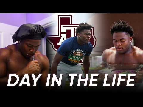 247tamu