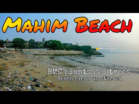 Mahim Beach Worst Beach of Mumbai