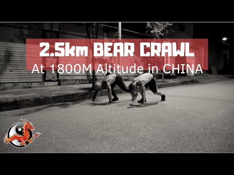 Bear Crawl Endurance – Longest Bear Crawl Without Stopping?