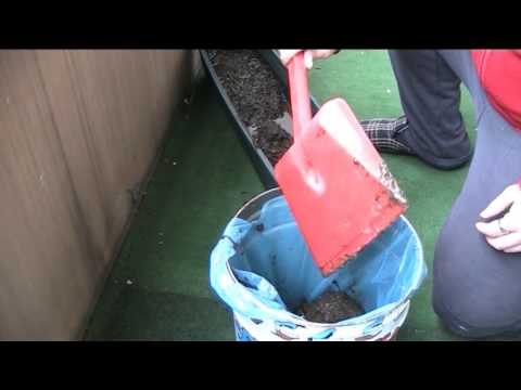 Ei yhtään närstänyt