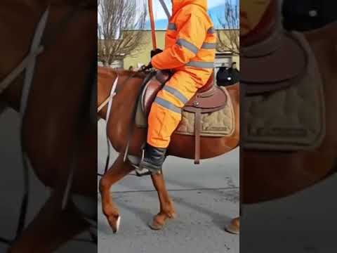Gaucho Desfilando en Río Mayo Chubut