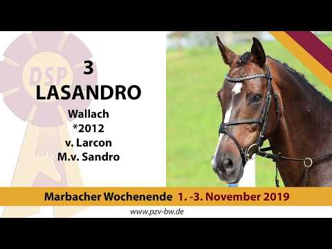 3 Lasandro v. Larcon - Sandro