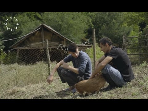 Albasha, Alisa, Berta, Jessy, Kazbek and… | Chai Khana