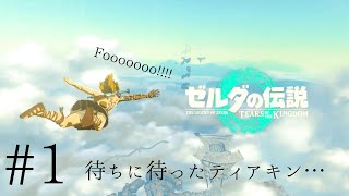 待っとったでこの時を！【ゼルダの伝説 ティアーズオブザキングダム】