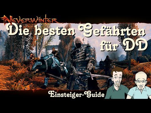 NEVERWINTER: Die besten Gefährten für DD-Klassen - Einsteiger-Guide - Schaden austeilen PS4 deutsch