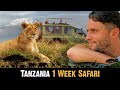 TANZANIA 1 Week SAFARI Serengeti Zanzibar Ngorongoro Crater