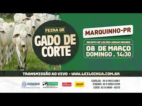LEILÃO ESPECIAL GADO DE CORTE - MARQUINHO/PR.