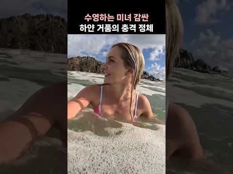 수영하는 미녀 감싼 하얀 거품의 정체 알고 보니···