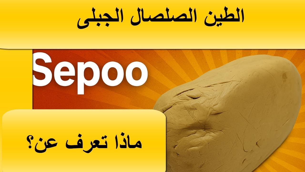 صورة الفيديو