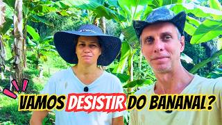 Vamos Desistir do Bananal?