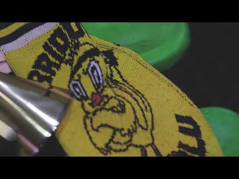 Ogni maledetta domenica... Modena Volley e il PalaPanini, l'emozione è gialloblú