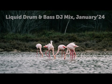 Liquid Drum & Bass DJ Mix, January'24