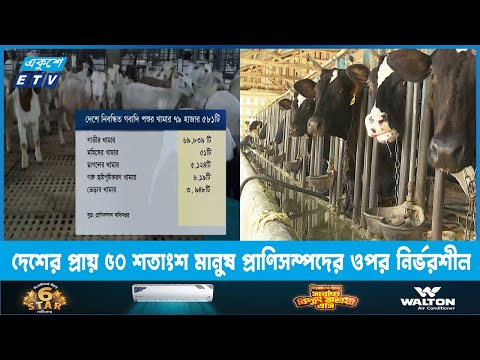 দেশের প্রায় ৫০ শতাংশ মানুষ পরোক্ষভাবে প্রাণিসম্পদের ওপর নির্ভরশীল | ETV News