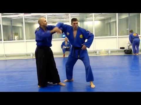 REAL AIKIDO "Speed and Power" - Igor Petrovic (5 Dan) 🥋🇷🇸