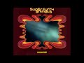 Super Furry Animals - Miniature (Instrumental)