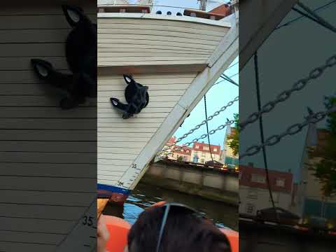 #lietuva #explore #watercycling #water