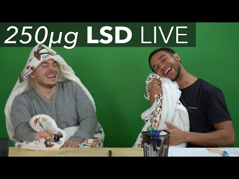 Quentin & Adam Eat Real Acid | Full Come Up Phase (VITAL EDUCATIONAL CONTENT)
