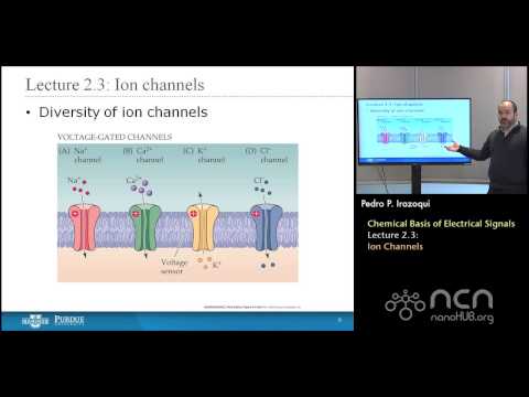 nanoHUB-U Bioelectricity L2.3: Chemical Basis - Ion Channels