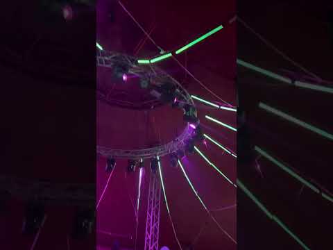 Alpha steppa ft Ras Tinny dub gathering 2023