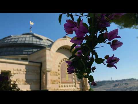 Israel: Potters Field
