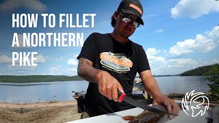 How to Fillet a Northern Pike