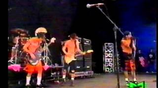 Red Hot Chili Peppers - Castles Made Of Sand [Live, Pinkpop Festival - Netherlands, 1990]